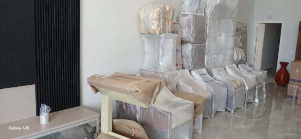 Trans Gomos Mudanças