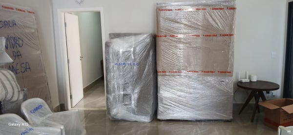 Trans Gomos Mudanças