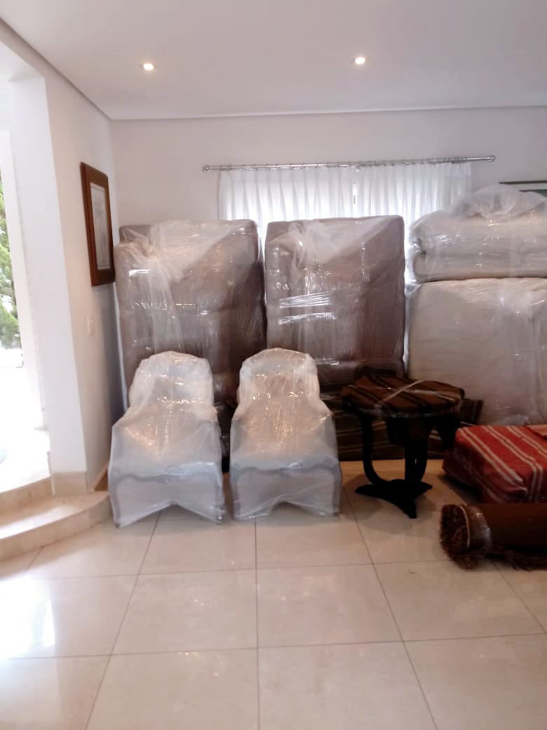 Trans Gomos Mudanças