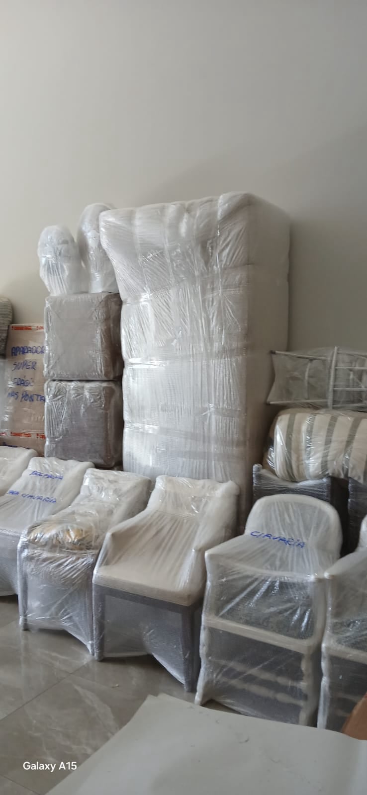 Trans Gomos Mudanças