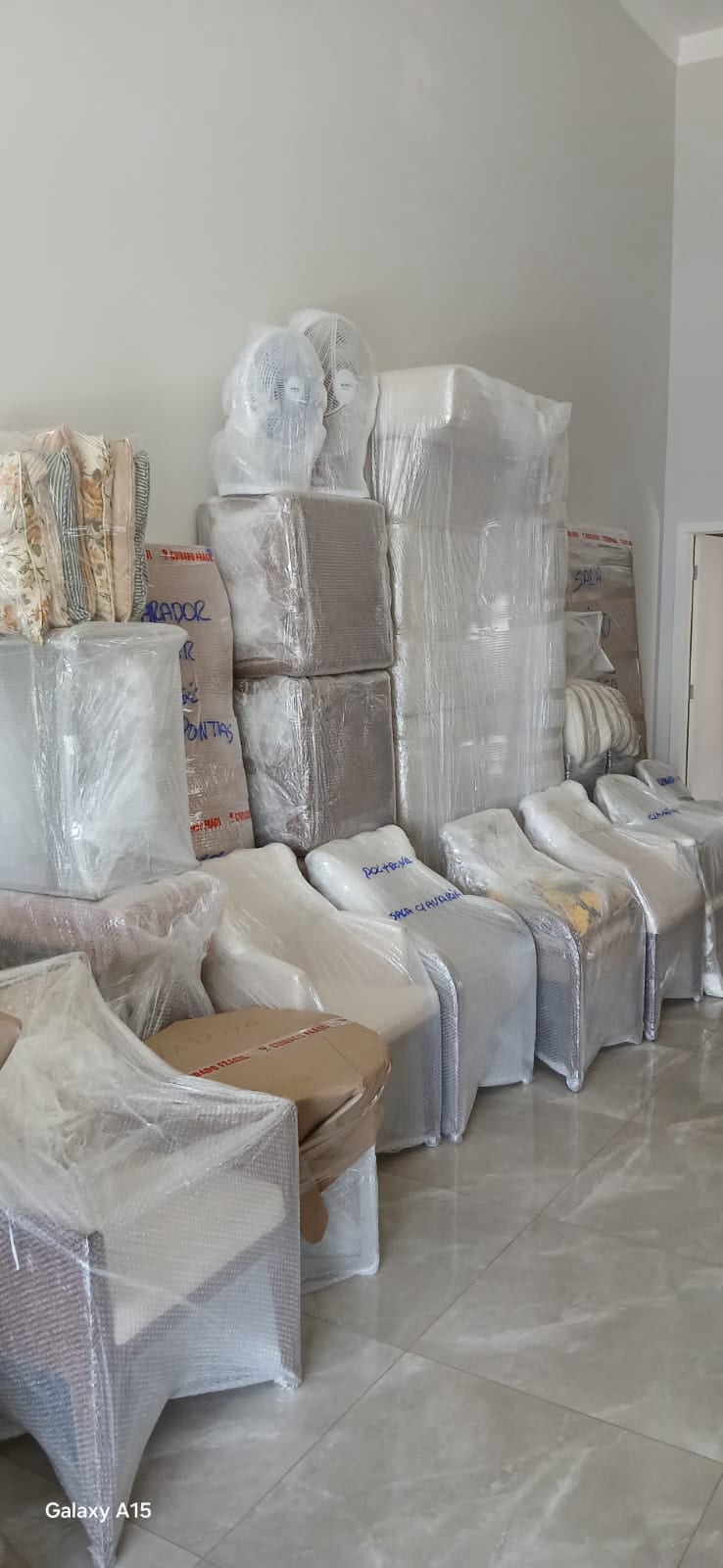 Trans Gomos Mudanças